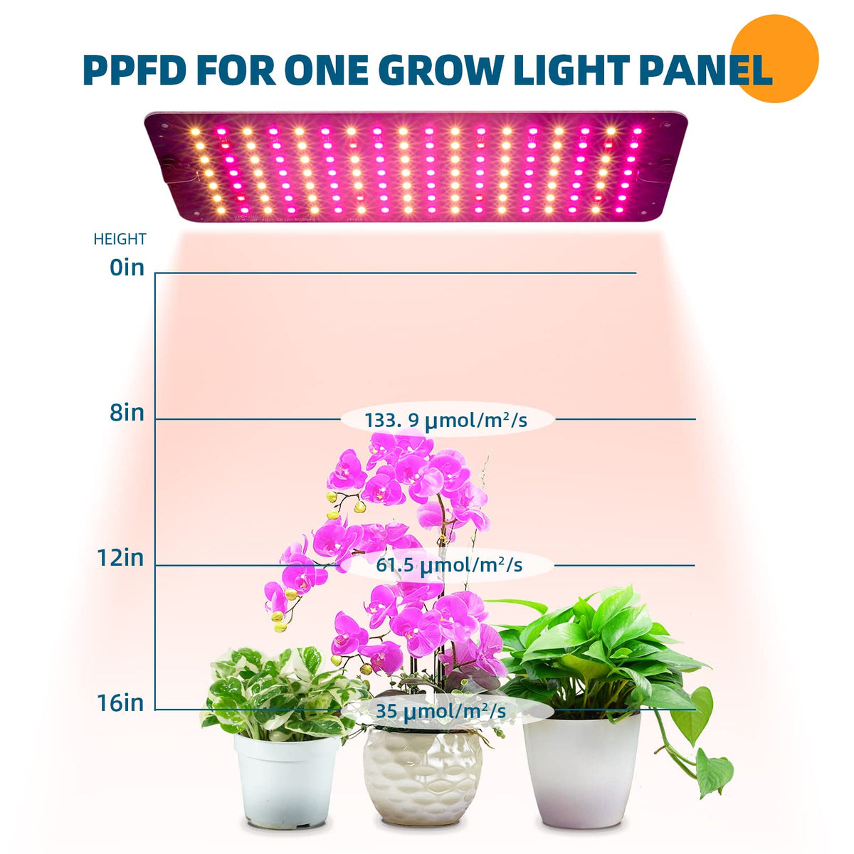 Barrina eight dimming levels to customize light intensity.