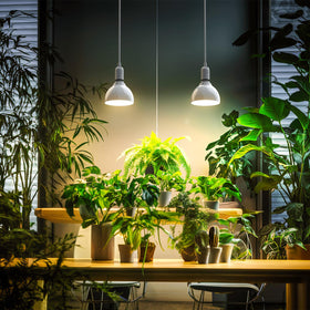 Barrina durable light with safe electrical design for home use