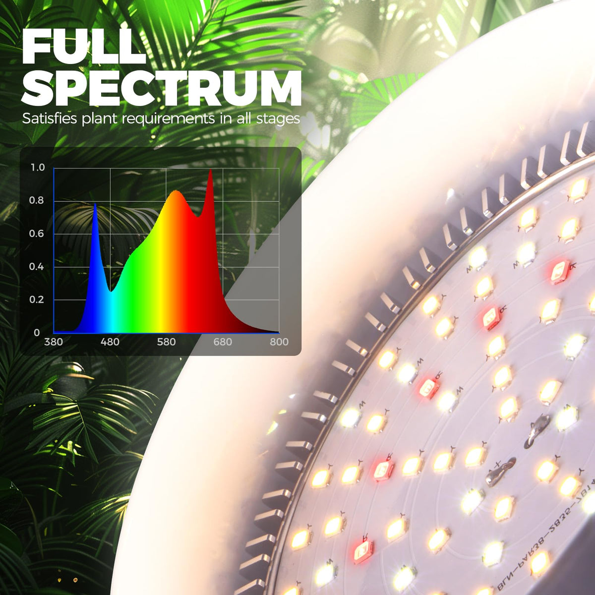 Barrina low-energy design reduces power use while delivering bright output