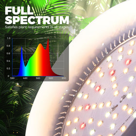Barrina low-energy design reduces power use while delivering bright output