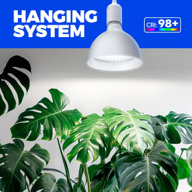 Barrina full-spectrum light 380-780nm mimicking sunlight for plants