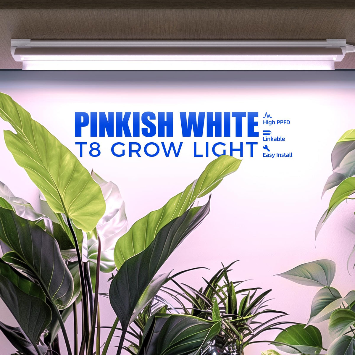 Barrina strip glows pinkish white for vibrant vegetative growth
