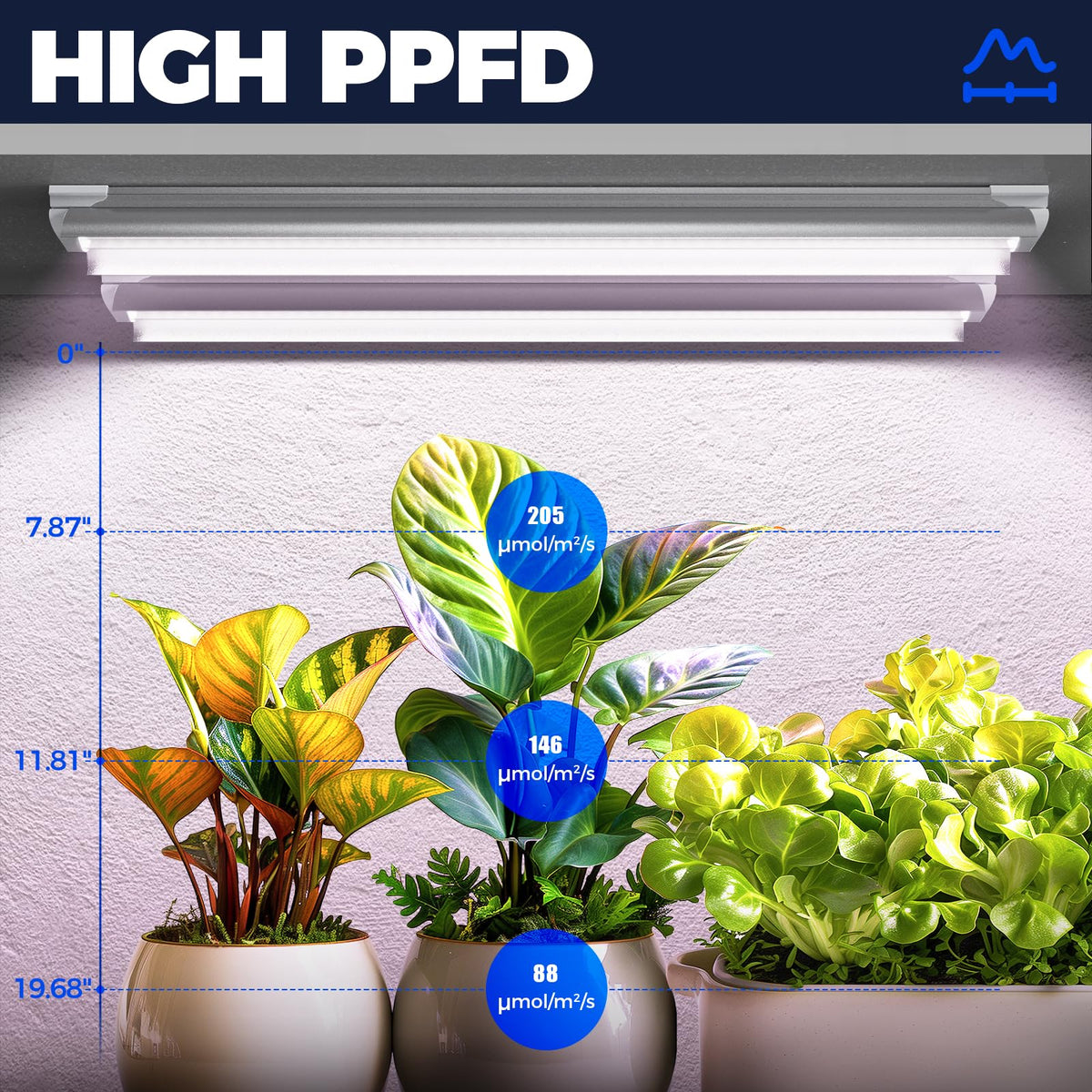 Barrina light panel delivers even coverage in a grow tent