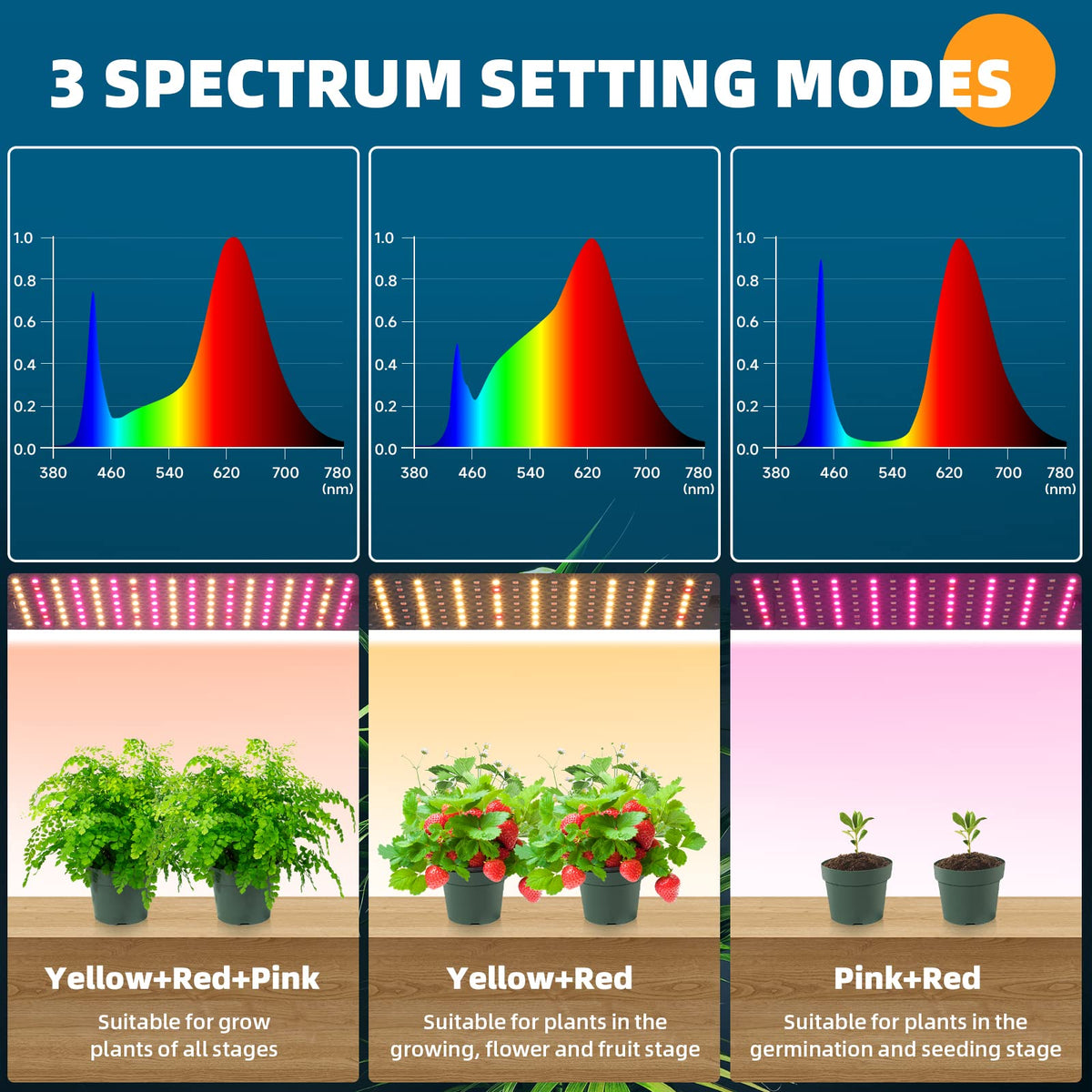 Barrina full-spectrum radiance demonstrates even light spread for leafy greens