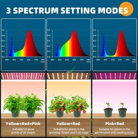 Barrina full-spectrum radiance demonstrates even light spread for leafy greens