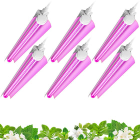 Barrina LED grow light 144W 6-pack front view with full-spectrum illumination.