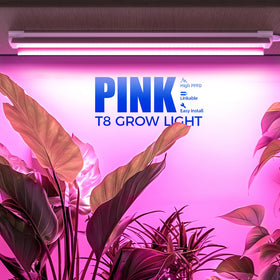 Barrina 2ft T8 kit over seedling tray for uniform growth.