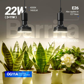 Bright 1460 lumens per OG11A bulb for even plant illumination.