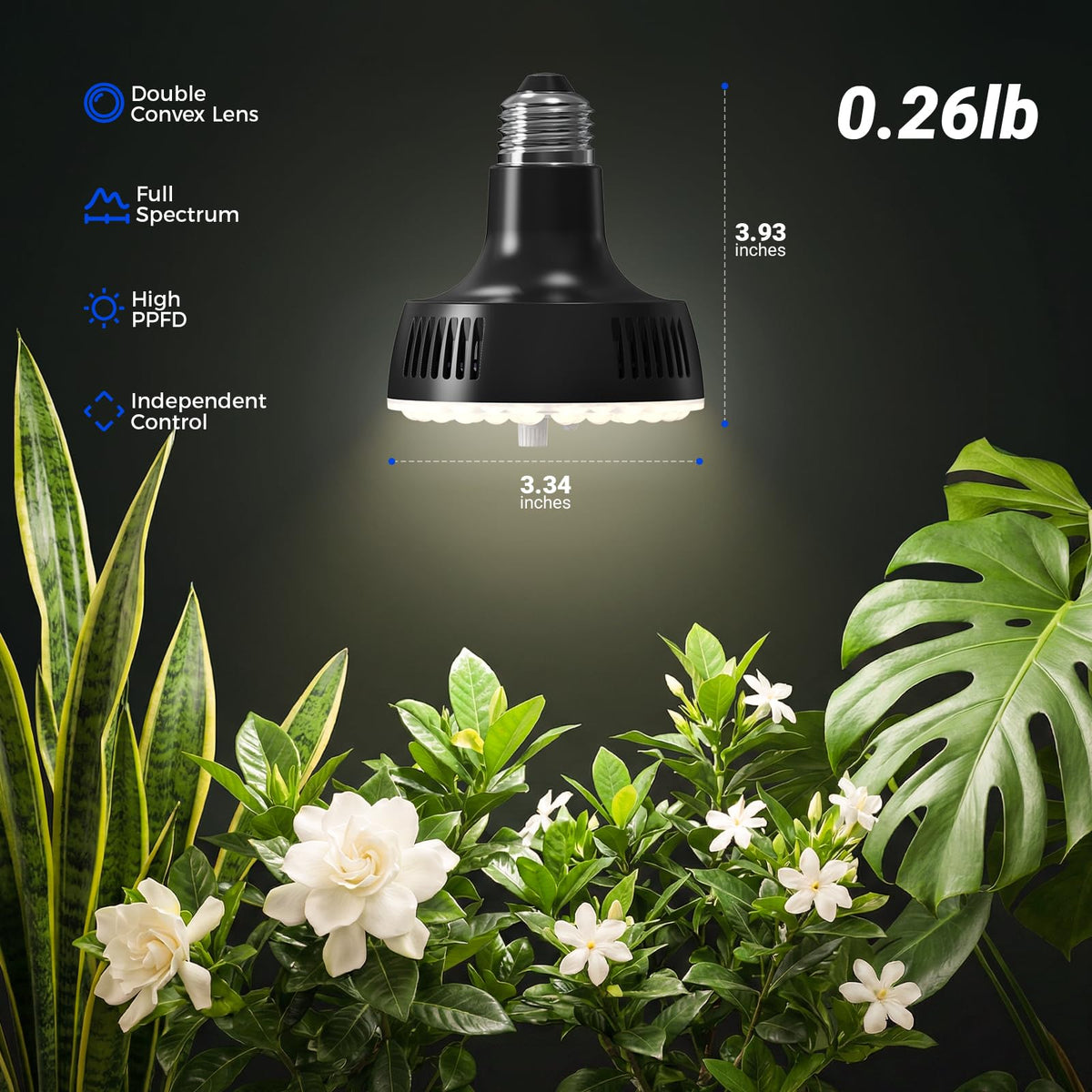 4000K daylight tone provides natural-looking indoor illumination.