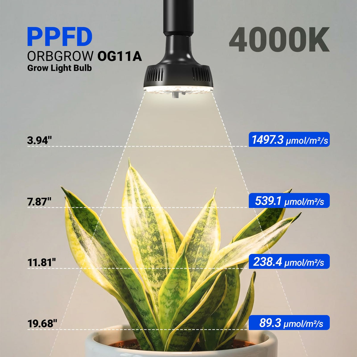 OG11A with an E26 base fits most fixtures instantly.