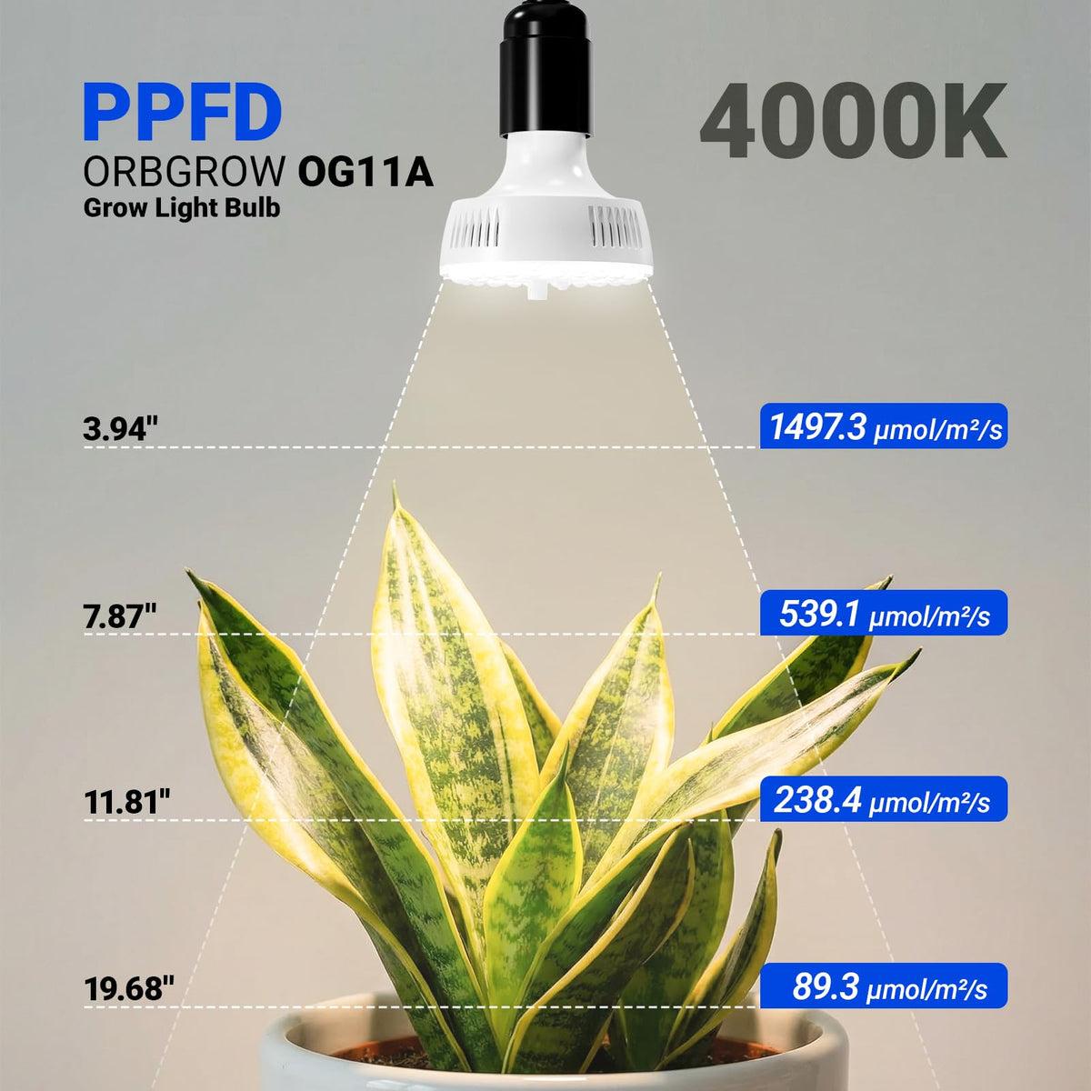 Barrina OG11A3 4000K daylight glow enhancing plant color and vigor