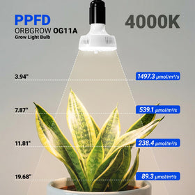 Barrina OG11A3 4000K daylight glow enhancing plant color and vigor