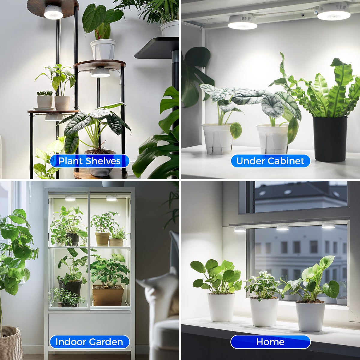 Barrina Orbgrow OG09 compact design fits tight spaces neatly