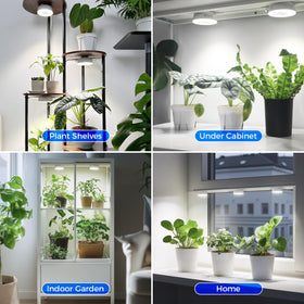 Barrina Orbgrow OG09 linked with cables for larger setups