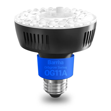 Barrina Orbgrow OG11A bulb in lamp provides efficient grow light for indoor greens.