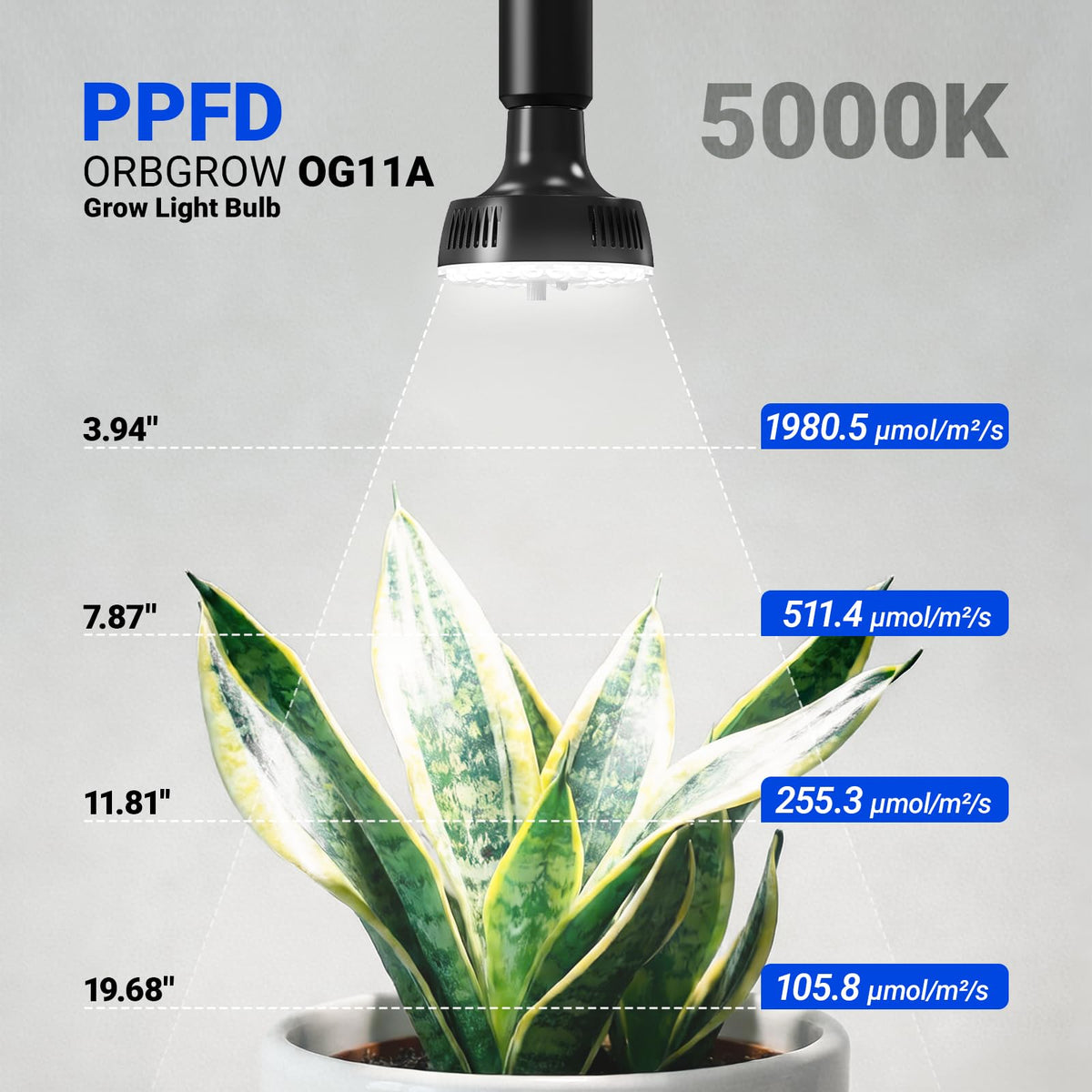 Barrina OG11A dimming panel on bulb allows precise brightness control for seedlings.