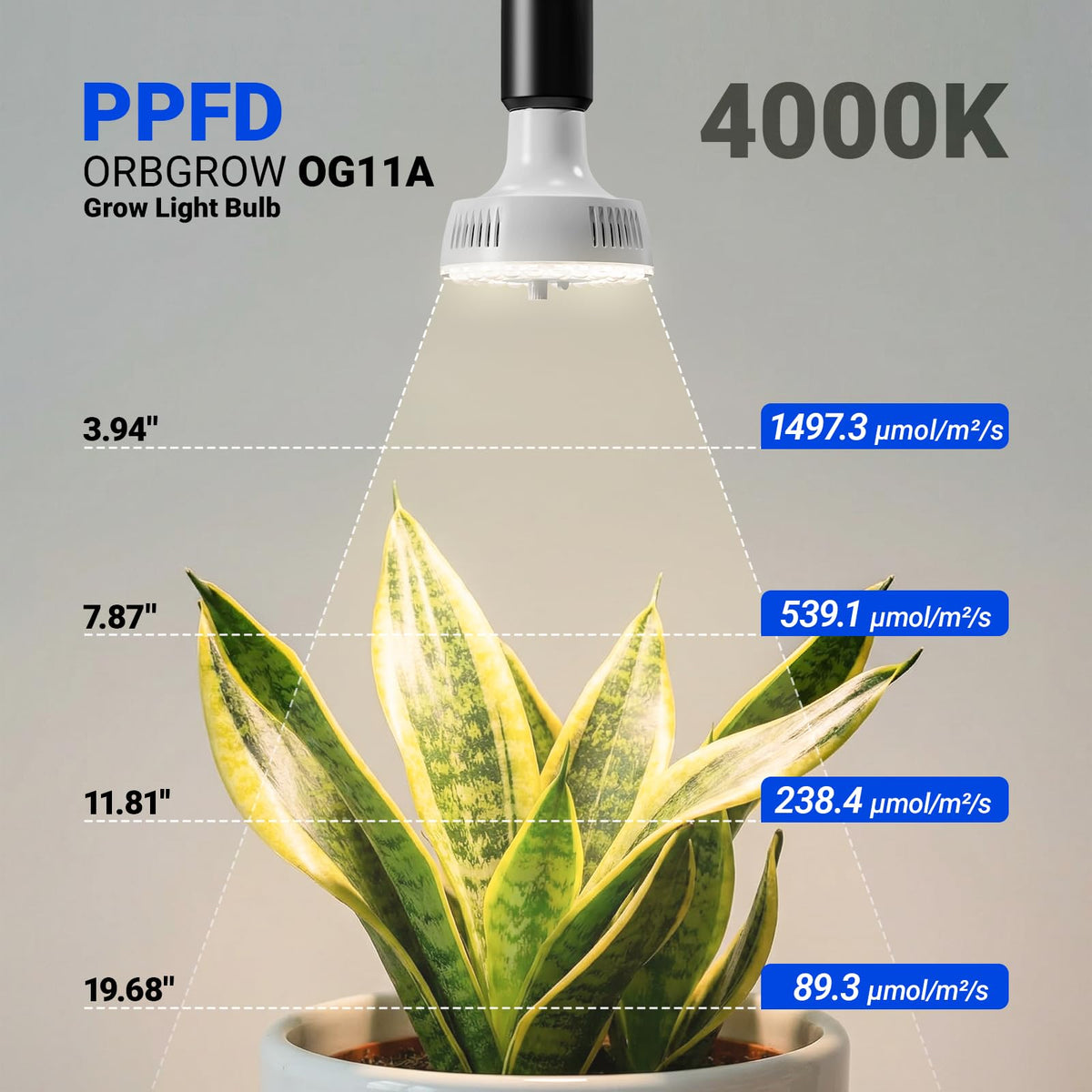 Barrina Orbgrow OG11A dimming-timer-panel on bulb enables custom light schedules.