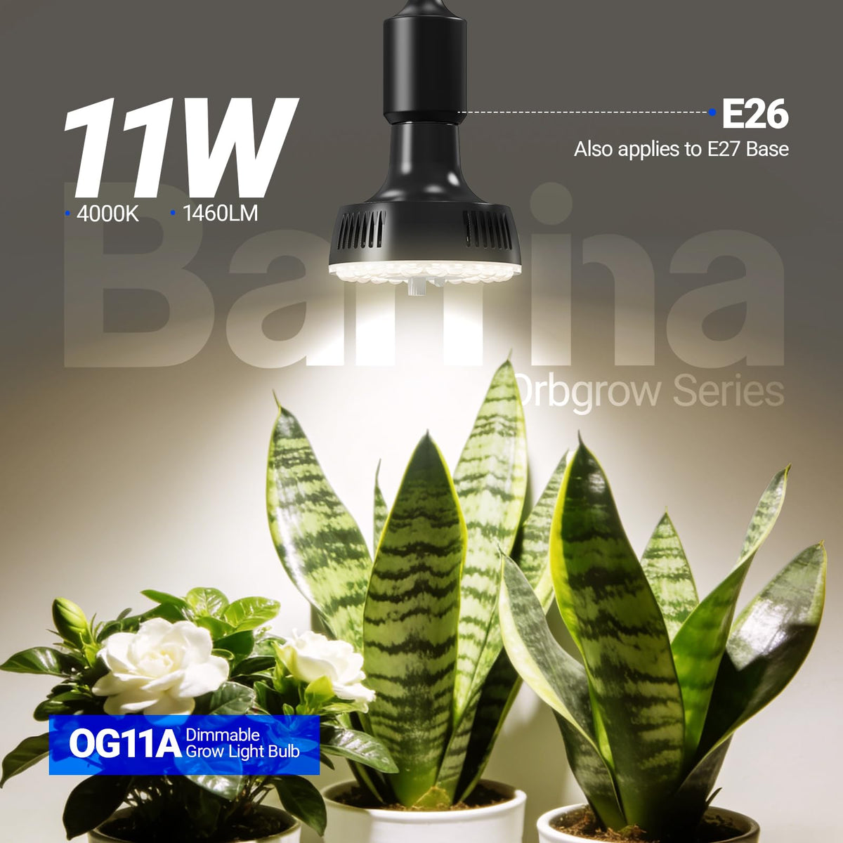 Barrina Orbgrow OG11A E26 base demonstrates easy fixture compatibility for quick setup