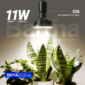 Barrina Orbgrow OG11A E26 base demonstrates easy fixture compatibility for quick setup
