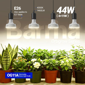 Barrina Orbgrow OG11A full-spectrum light supports seedlings and greens growth.