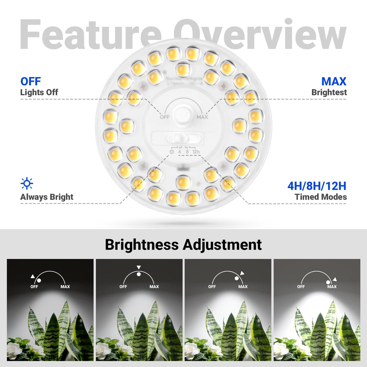 Barrina OG11A lights illuminate lush leaves, aiding photosynthesis for home herbs.