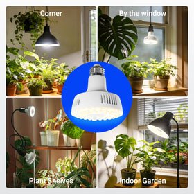 Barrina Orbgrow OG11A 4-pack for multiple fixtures or shelf setups.