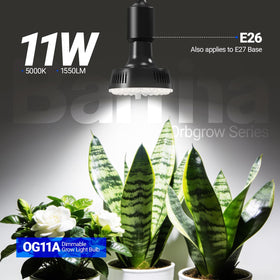 Barrina Orbgrow OG11A setup in a grow tent supports consistent plant growth.