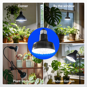Barrina Orbgrow OG11A two-pack provides coverage for multiple zones.