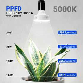Barrina OG11A3 delivers high PPFD for vigorous growth stages