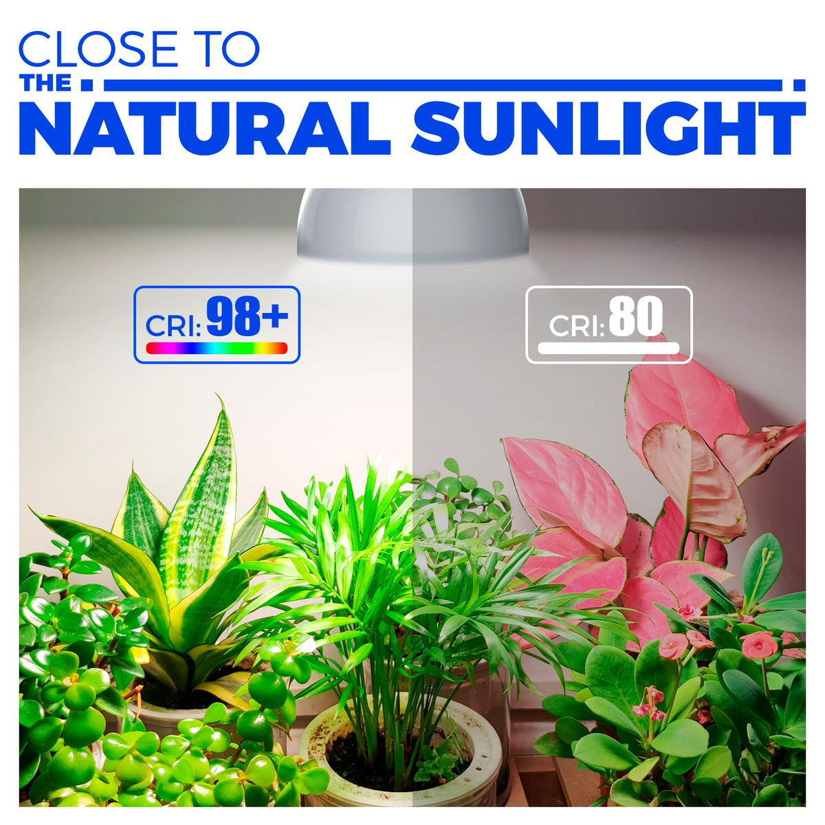 Barrina PPFD 385 umol/s/m2 supports photosynthesis up close
