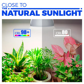 Barrina PPFD 385 umol/s/m2 supports photosynthesis up close