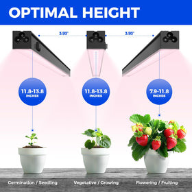 Barrina T5 192-LED array delivers bright, efficient spectrum for growth stages