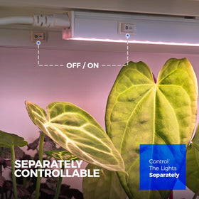 Barrina T5 1ft strip arranged for compact indoor setups