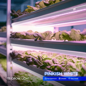 Barrina T5 LED panel close up showing dense LEDs for bright indoor coverage