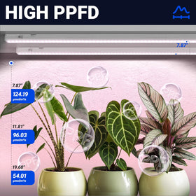 Barrina T5 grow light 8 pack in box ready for setup