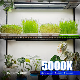 Barrina T5 grow light full-spectrum 5000K for balanced indoor lighting