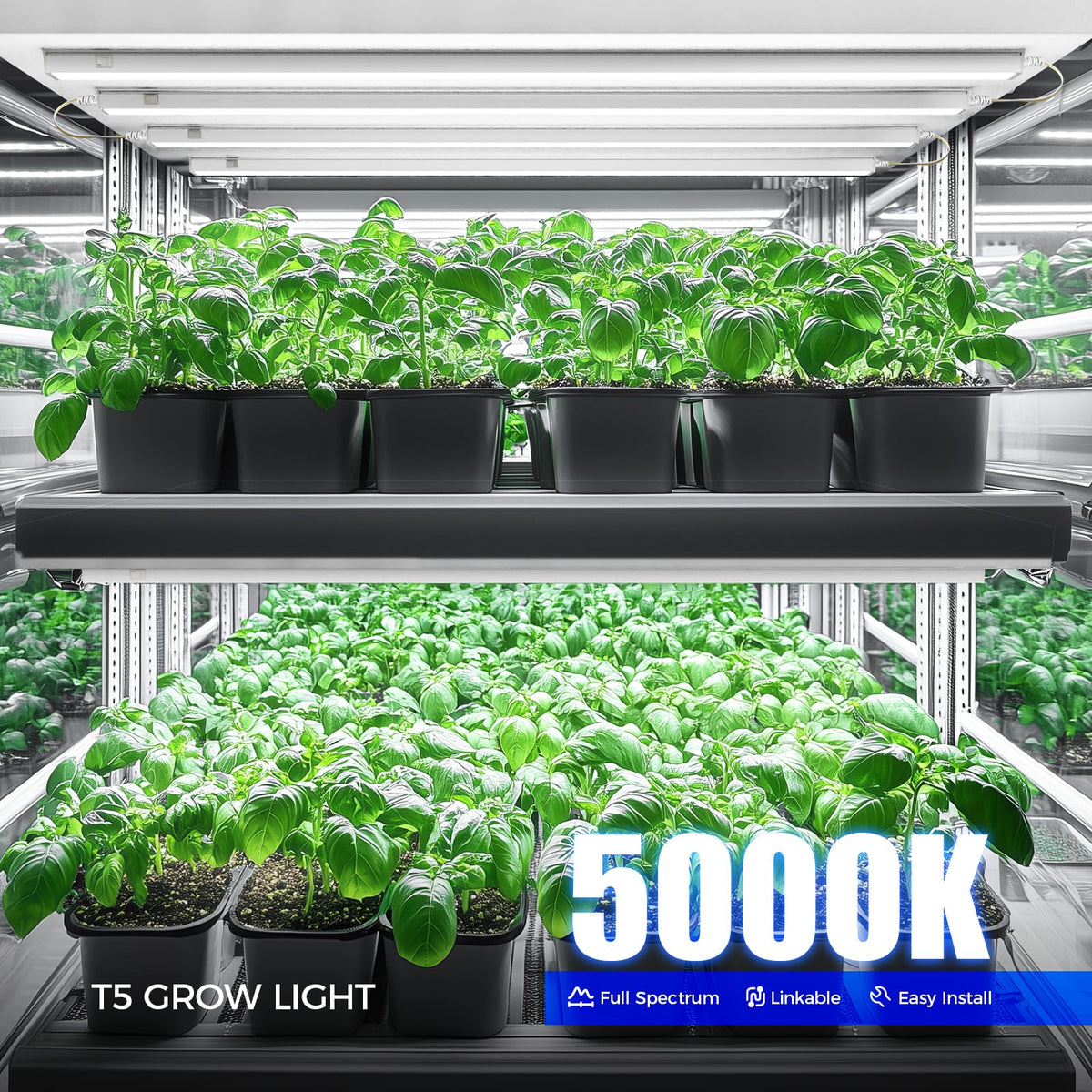 Barrina T5 full-spectrum panel shows 5000K light for growth