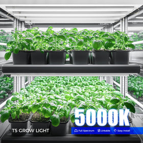 Barrina T5 full-spectrum panel shows 5000K light for growth