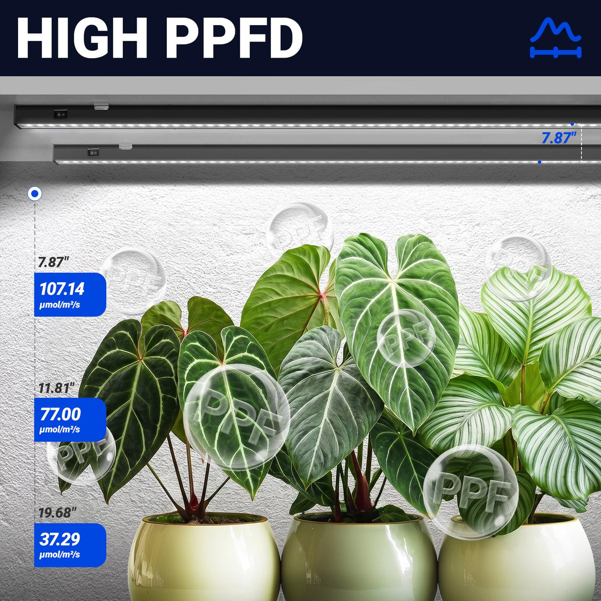 Barrina T5 grow light high PPFD delivers efficient light to leaves