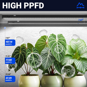 Barrina T5 grow light high PPFD delivers efficient light to leaves