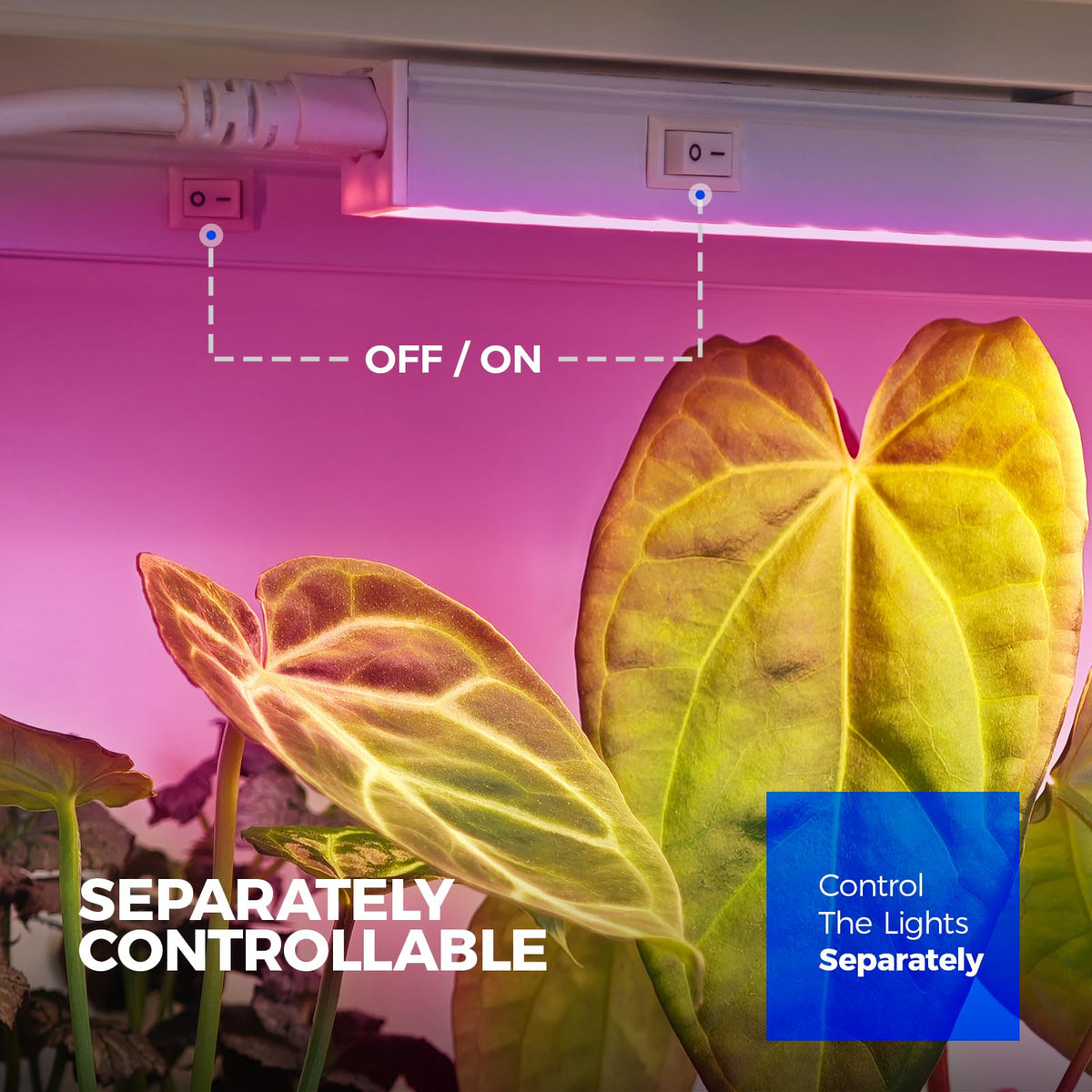 Barrina T5 Grow Light individually controllable switches tailor lighting to plant stages