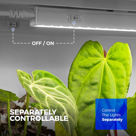 Barrina T5 linkable system expanding to eight lamps