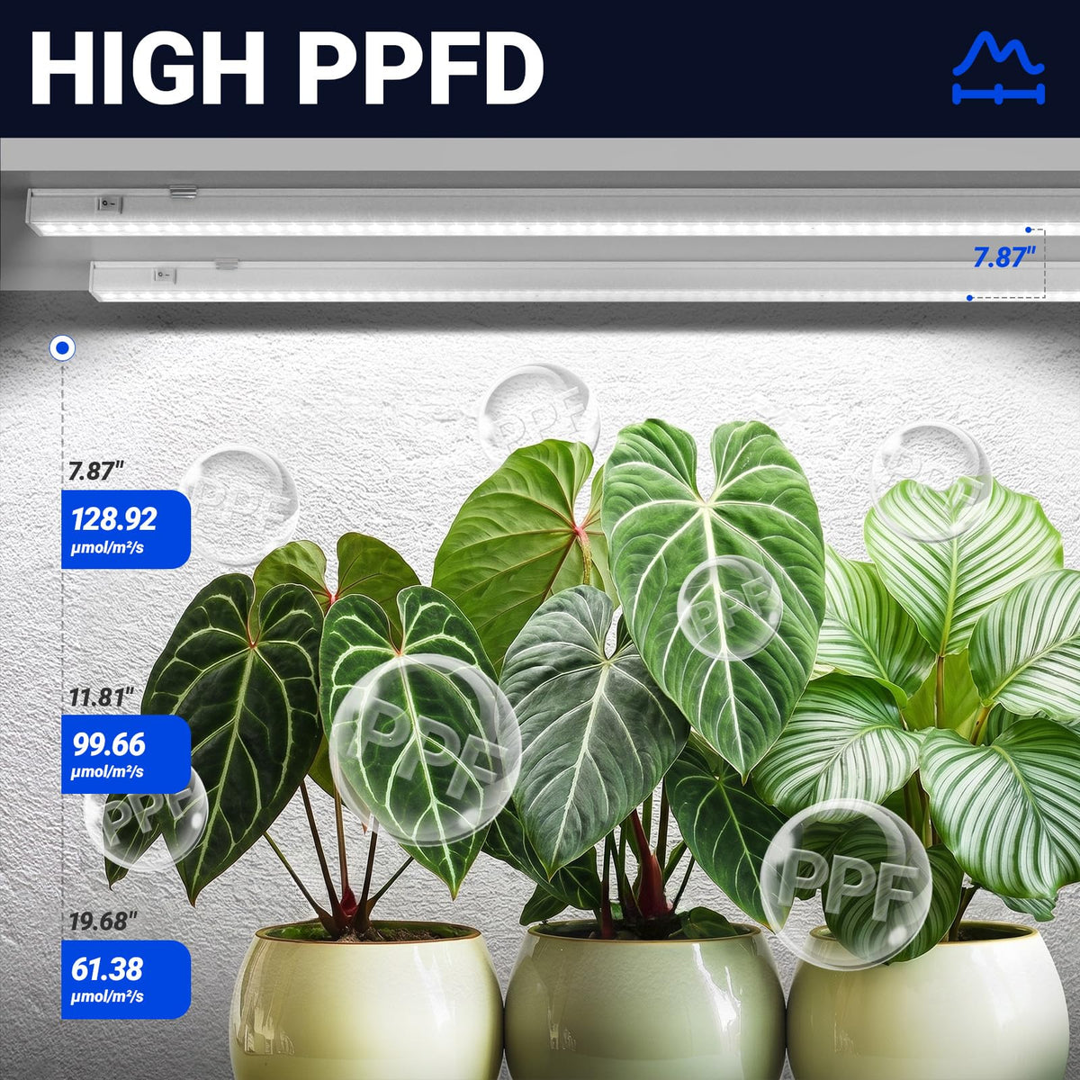 Barrina T5 high PPFD for efficient photosynthesis and growth