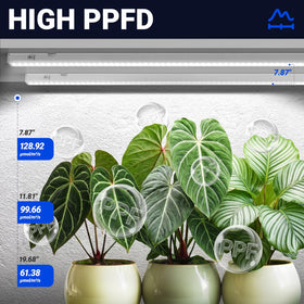 Barrina T5 high PPFD for efficient photosynthesis and growth