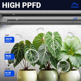 Barrina T5 8x20W LEDs provide high brightness and efficient plant-focused energy