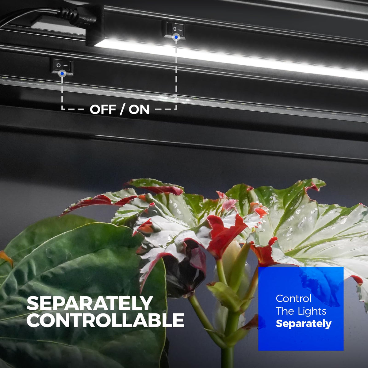 Barrina T5 linkable design supports up to eight lights in series