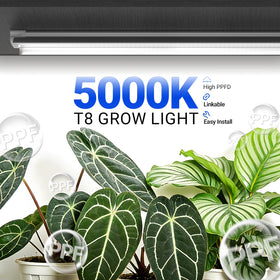 Barrina T8 168W 4x42W design delivers bright efficiency for seedlings and greens