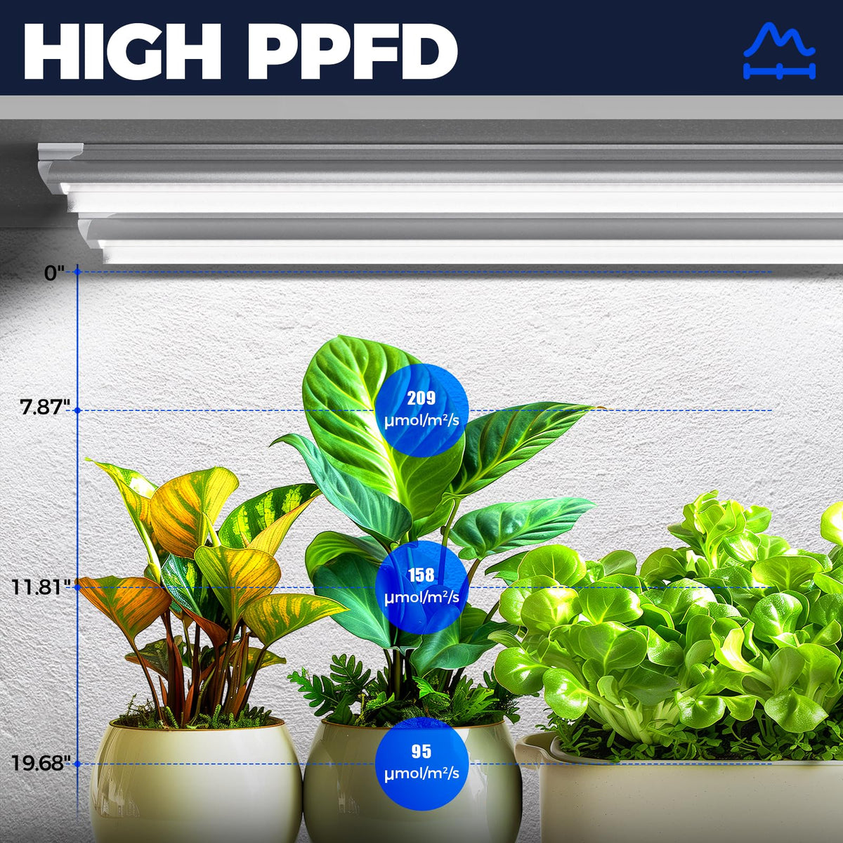 Barrina T8 daylight 5000K provides natural white light for consistent growth cycles