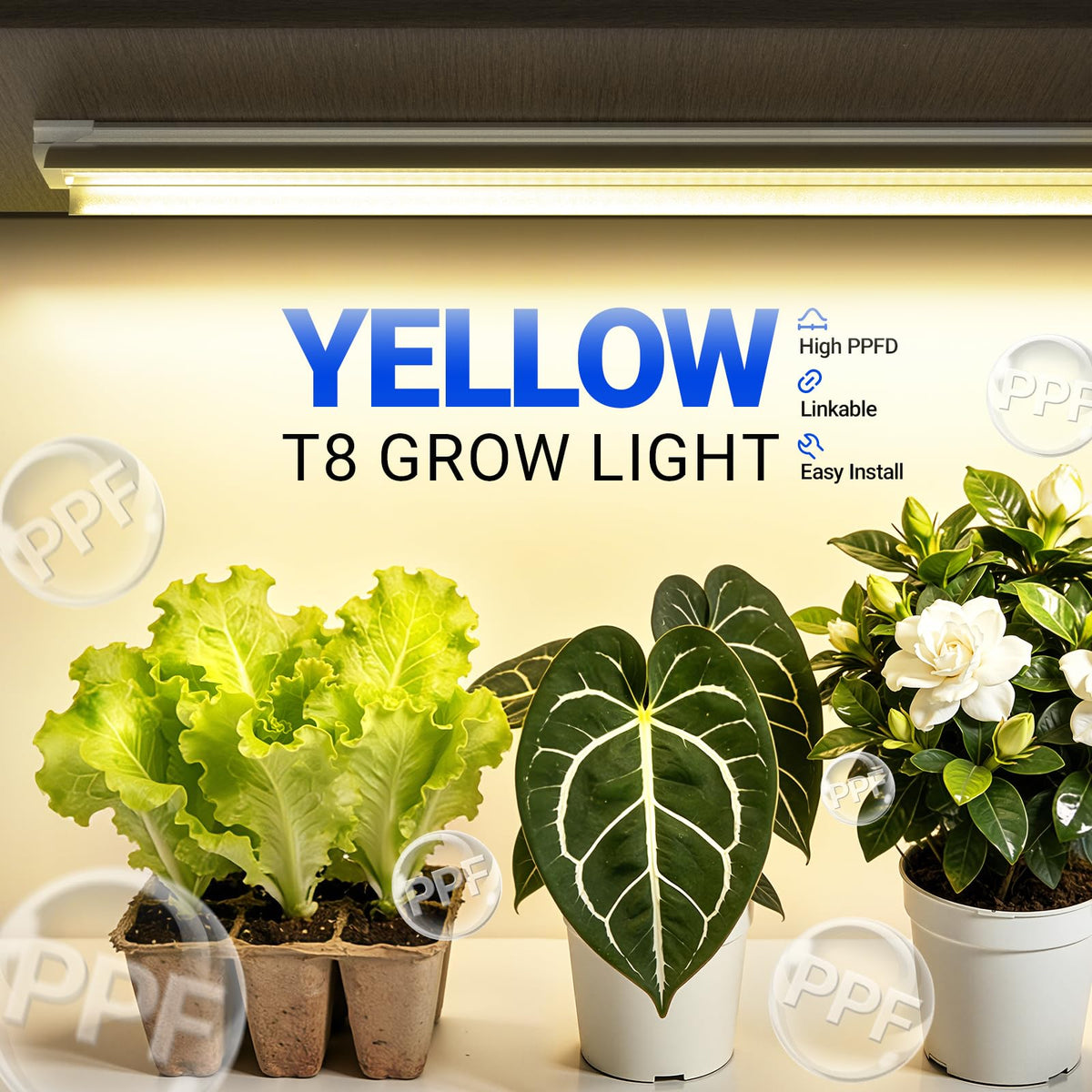 Barrina T8 full-spectrum LED strip supports vibrant indoor plant growth
