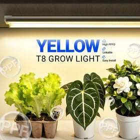 Barrina T8 full-spectrum LED strip supports vibrant indoor plant growth